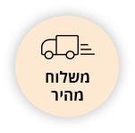 Delivery Full Icon